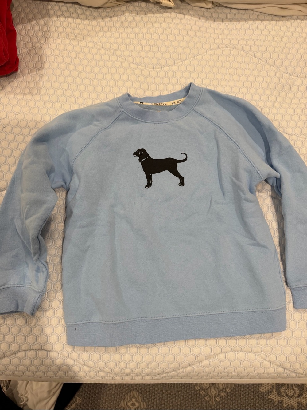 NWOT Black Dog Sweatshirt Light Blue